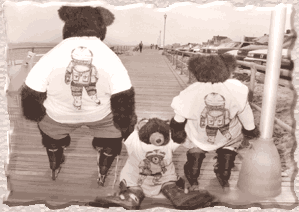 Teddy Bears By The Seashore